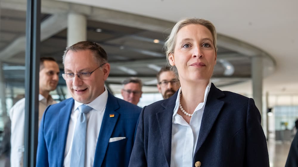 AfD-Umfragewerte: Keine Bedrohung für den Rechtsstaat?