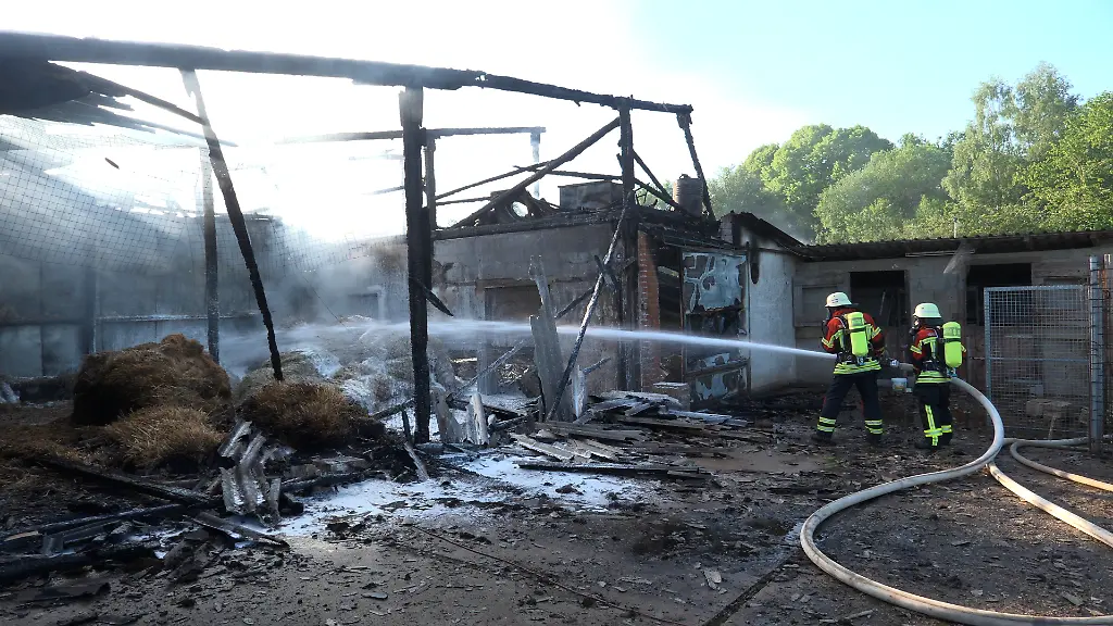 Großbrand im Saarland: Geflügelhof in Flammen