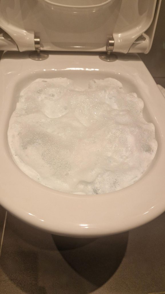 Toilettenschäume im Test
