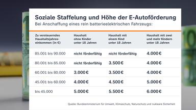 Neue Zuschüsse für den E-Auto-Kauf