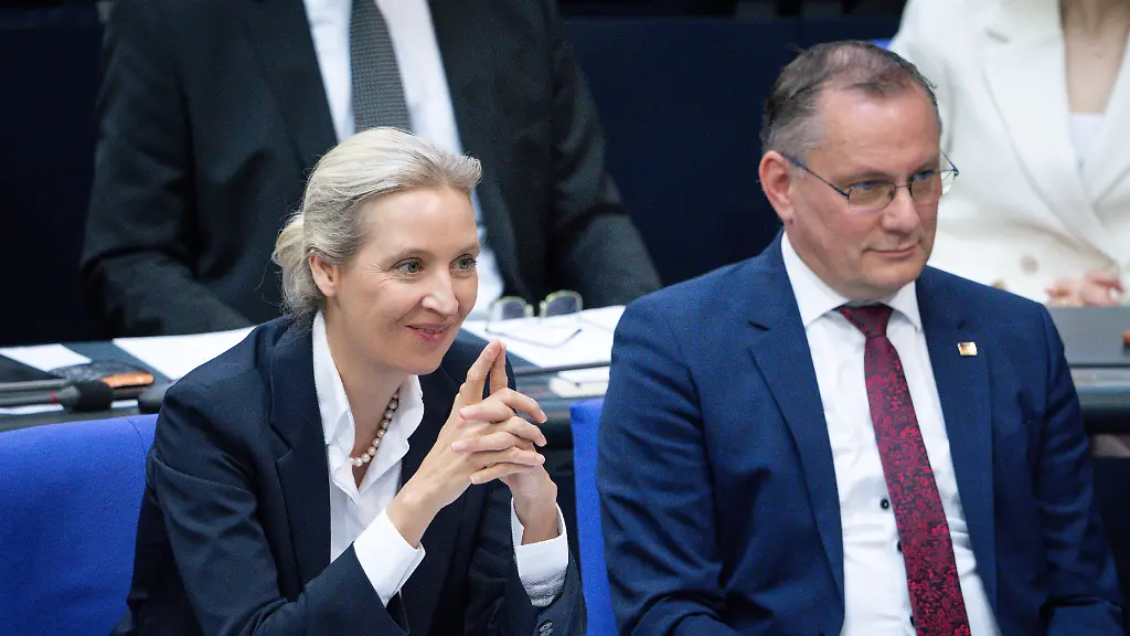 Aktuelle Umfrageergebnisse: AfD vor Union, Grüne gewinnen leicht