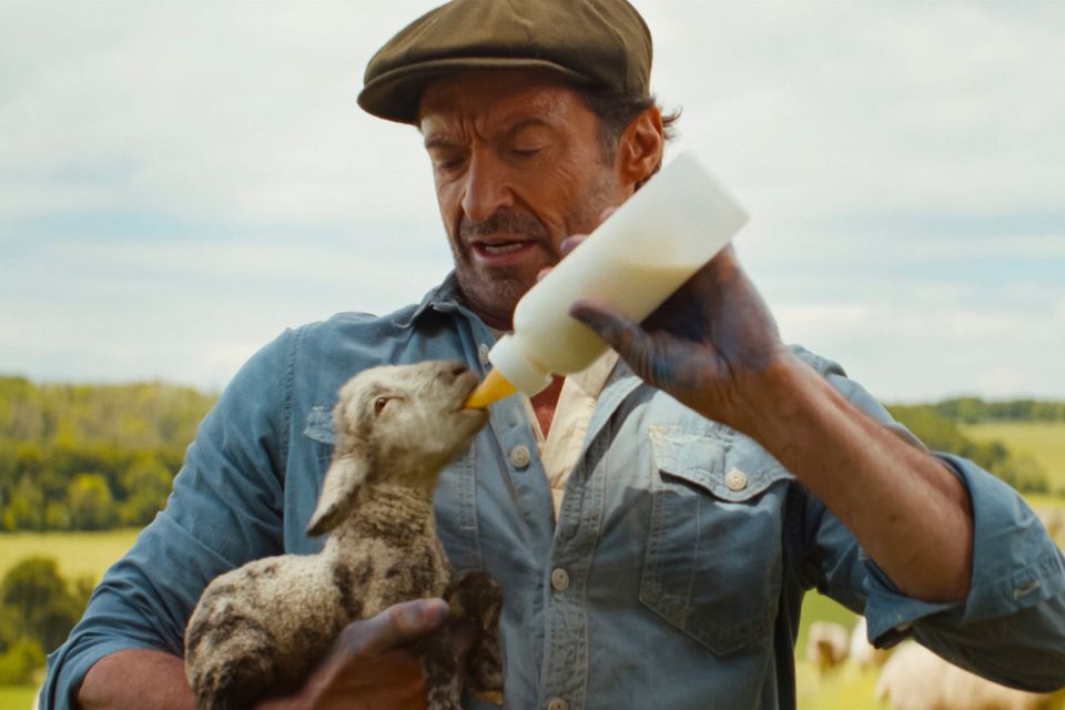 Glennkill: Ein humorvoller Krimi mit Schafen