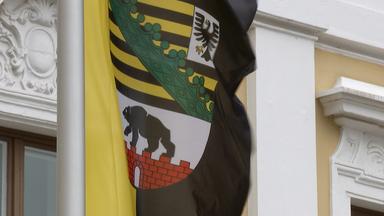 Vorkehrungen vor möglichem AfD-Sieg in Sachsen-Anhalt gefordert