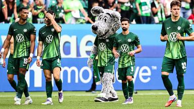 Der VfL Wolfsburg: Zwischen Bundesliga-Kampf und Neuausrichtung