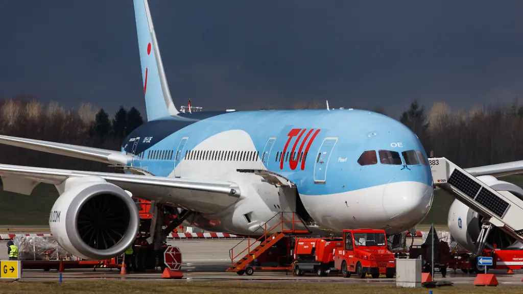 Schlange stoppt Flugzeug in London-Gatwick