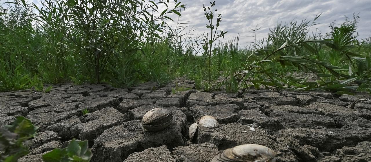 Nachwirkungen der Sprengung des Kachowka-Staudamms in der Ukraine