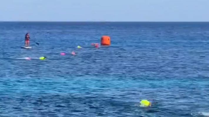 Krokodil verursacht Panik bei Schwimmwettbewerb in Mexiko