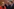 Treffen im Kanzleramt: Regierung diskutiert Reformen
