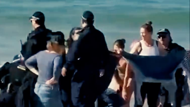 Drama in Sydney: Hai-Attacke erschüttert Touristenstrand