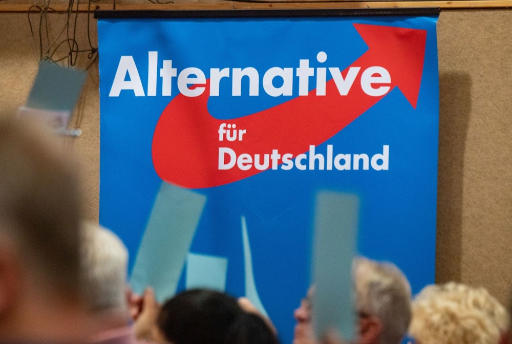 Machtkampf in der bayerischen AfD: Protschka vs. Mixl