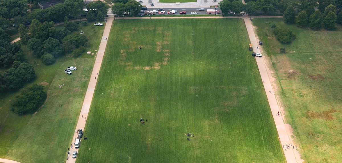 Anti-Trump-Slogan auf der National Mall erregt Aufsehen
