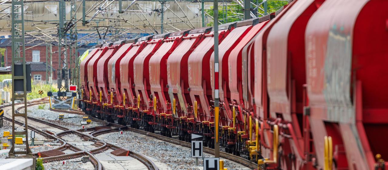 Bahn-Störung: Ursachen und Reaktionen