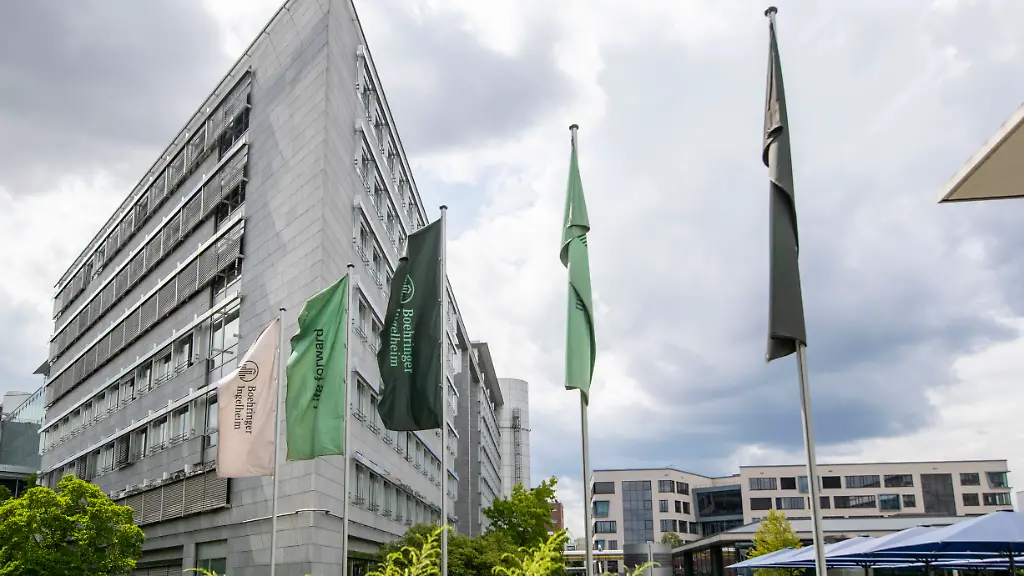 Zealand Pharmas Rückschlag durch Survodutide