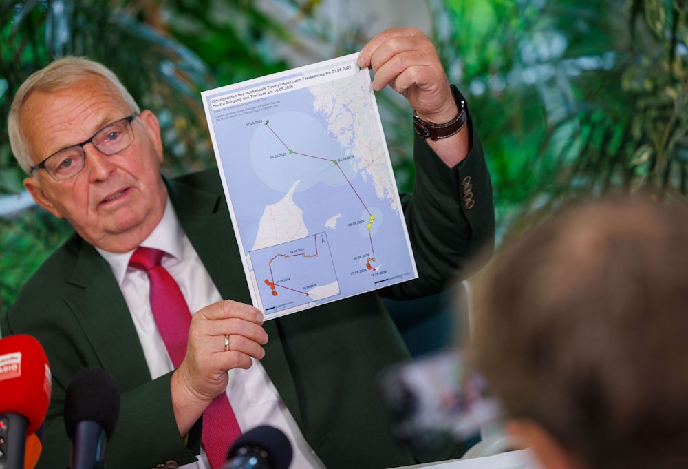 Das Schicksal des Wals ‘Hope’ nach seiner Freilassung