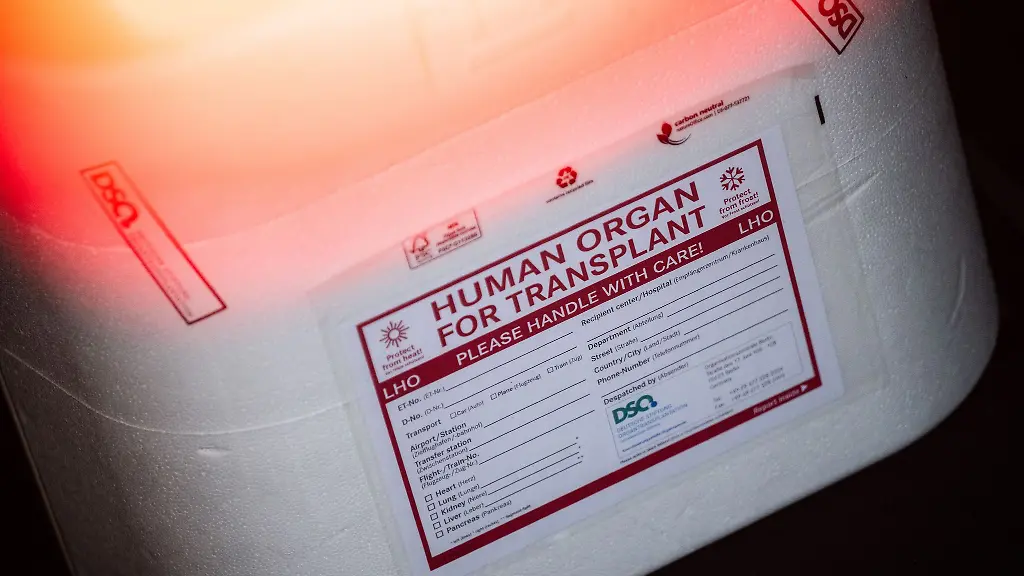 Organspende in Deutschland: Zahlen und Herausforderungen