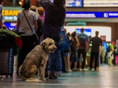Schwere Störung bei der Deutschen Bahn: Auswirkungen und Hintergründe