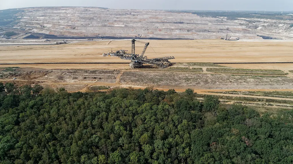 Hambacher Wald wird zum Wildnisgebiet: Dauerhafter Schutz bis 2035