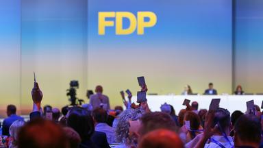 FDP mit neuem Vorsitzenden: Mitgliederzahlen steigen